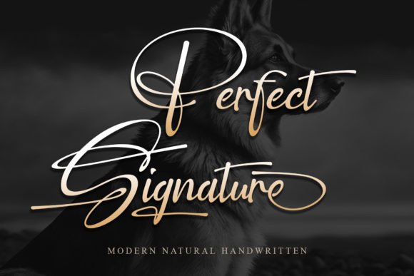 Download Perfect Signature - Perfect Collection